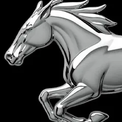Avatar of Maverick Movies