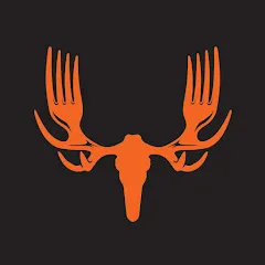 Avatar of MeatEater