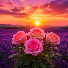 Avatar of Sweet Romantic