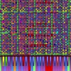 Avatar of Midi Masters