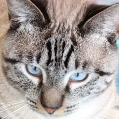 Avatar of MURZBO