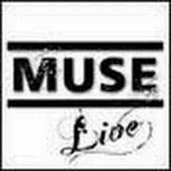 Avatar of MuseLiveVideos