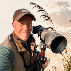 Avatar of My Birding Life