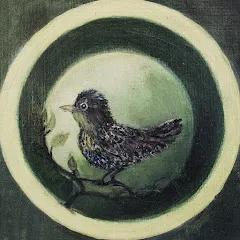 Avatar of Nature Nest