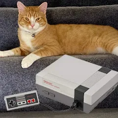 Avatar of NesgamesPlus