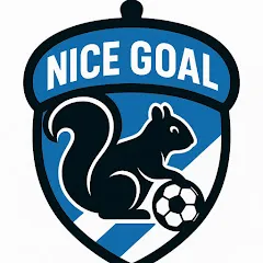 Avatar of NICE GOAL FC