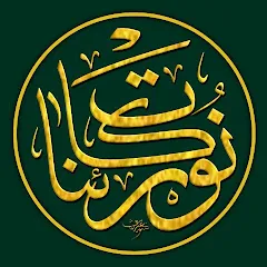 Avatar of Noor Kainat Skills