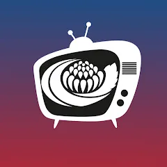 Avatar of NSW Athletics TV