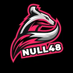 Avatar of Null 48