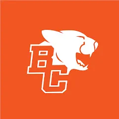 Avatar of BC LIONS