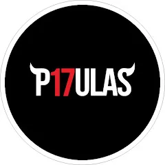 Avatar of P17ULAS MUSIC