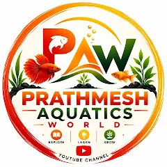 Avatar of Prathmesh Aquatic World