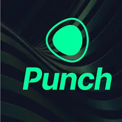 Avatar of Punch