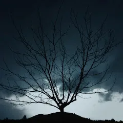Avatar of Rest for the Wicked
