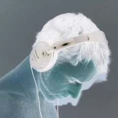 Avatar of rickyBE