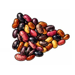 Avatar of Robbie Legume