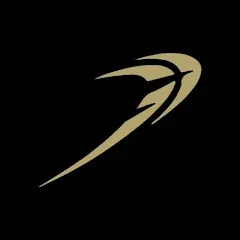 Avatar of Rollwith Punch