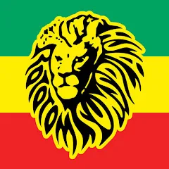 Avatar of ROTOTOM SUNSPLASH