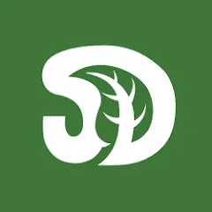 Avatar of SerpaDesign
