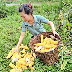 Avatar of Sìn Nhật