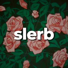Avatar of slerb