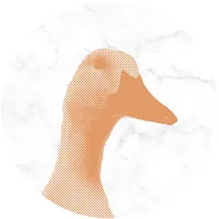 Avatar of sockrteez