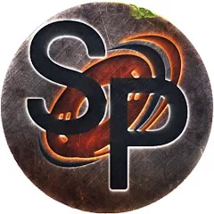 Avatar of Sonic Perspectives
