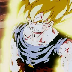 Avatar of sonicvsmariorandom