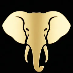 Avatar of Spirit of Africa