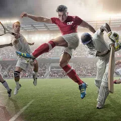 Avatar of Sports Craze
