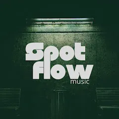 Avatar of SpotFlow music ™