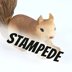 Avatar of SquirrelStampede