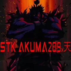 Avatar of STK AKUMA209x 天