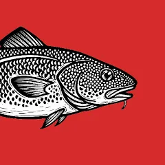 Avatar of stonkfish