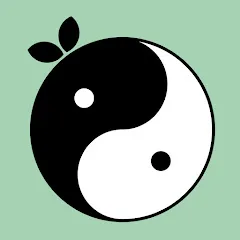 Avatar of Studio Baku