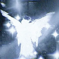 Avatar of stvr