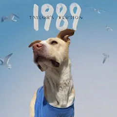 Avatar of sugarboo ii