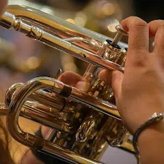 Avatar of Surrey Police Band
