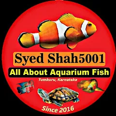Avatar of Syed shah5001