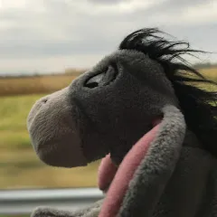 Avatar of Tadeeyore