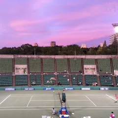 Avatar of Tennis Rewind Collection