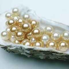 Avatar of The Magic Pearl