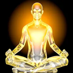 Avatar of The Meditation Manifesto