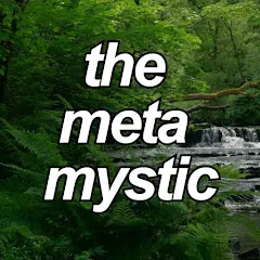 Avatar of the meta mystic