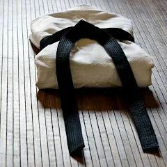 Avatar of THIS IS JUDO