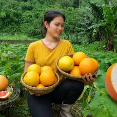 Avatar of Thuy Thuy Harvesting