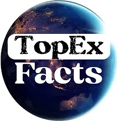 Avatar of TopEx Facts