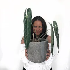 Avatar of Denise B.