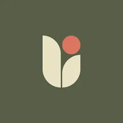 Avatar of Vidara_Design
