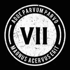 Avatar of VII